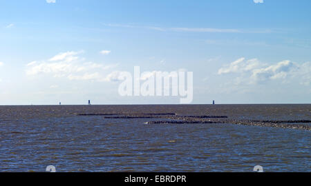 Sperone dighe in acqua alta, Germania, Bassa Sassonia, Bassa Sassonia il Wadden Sea National Park, Dorum-Neufeld Foto Stock