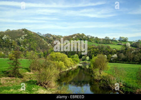 Fiume pianura alluvionale del fiume Sieg in primavera, in Germania, in Renania settentrionale-Vestfalia, Bergisches Land, Blankenberge Foto Stock