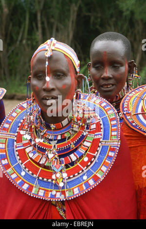 Massai con tradizionale collana, ritratto, Kenia Masai Mara Foto Stock