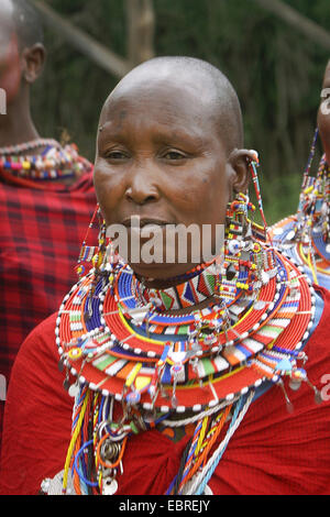 Massai con tradizionale collana, ritratto, Kenia Masai Mara Foto Stock