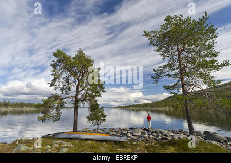 Uomo a pesca di Rogen lakeshore, Svezia, Haerjedalen, Naturreservat Rogen Foto Stock