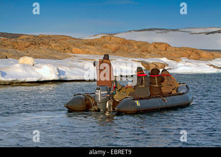 Orso polare (Ursus maritimus), zodiaco e polarbear, Norvegia Isole Svalbard Foto Stock