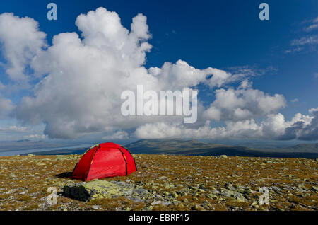 Tenda sul Monte Elgahogna con vista sul lago Femunden, Norvegia, Hedmark Fylke, Femundsmarka National Park Foto Stock