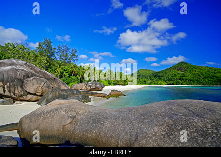 Spiaggia con scogli di granito, palme e alberi di takamaka a Baie Lazare presso la costa occidentale dell'isola Mahe, Seychelles, Mahe Foto Stock