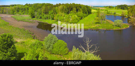 Foto aerea dell'Seachtnmoor con alberi morti, in Germania, in Baviera, Oberbayern, Alta Baviera, Andechs Foto Stock