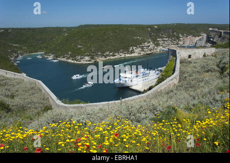 Traghetti e navi in un fiordo, Goulet de Bonifacio, Francia, Corsica, Bonifacio Foto Stock