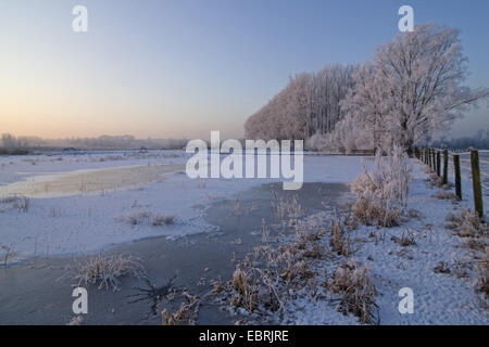 Schelda Valley, paesaggio invernale, Belgio, Fiandre, Zingem Foto Stock