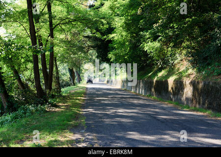 Il marmo ' ' strada antica per via navigabile, fiume Ticino, Lombardia, Piemonte, Italia. Foto Stock