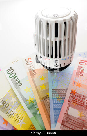 Valvola termostatica di un riscaldatore sulle banconote in euro Foto Stock