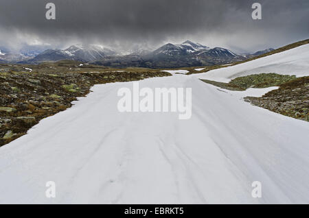 Raffica di neve nel paesaggio di montagna di Rondane National Park, Norvegia, Hedmark, Hedmark Fylke, Rondane National Park Foto Stock