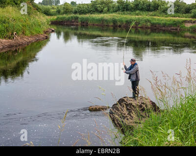 Salmone atlantico, ouananiche, lago di salmone atlantico, senza sbocco sul mare salmone, la Sebago salmone (Salmo salar), salmone pescatore con canna da pesca per entrambe le mani, Irlanda, fiume Moy, Foxford Foto Stock