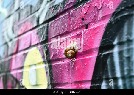 Lumaca su un coloratissimo graffito parete , Germania, il Land della Baviera, Stein Foto Stock