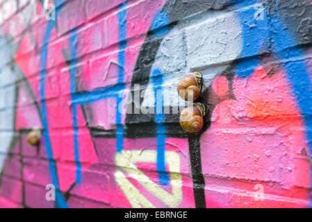 Lumache su un coloratissimo graffito parete , Germania, il Land della Baviera, Stein Foto Stock