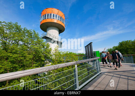 Pontile con torre di avvistamento e visitatori, Germania, Parco Nazionale Hainich Foto Stock