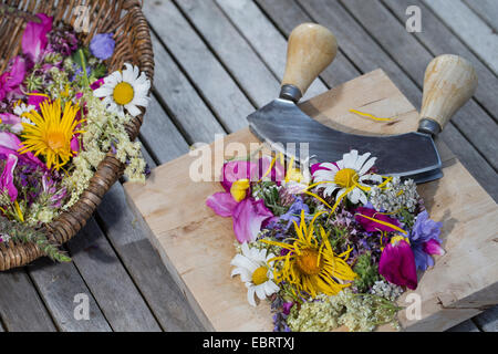 Mangiabile petali in un cestello con la lama di un coltello, Germania Foto Stock