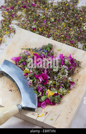 Petali di fiori commestibili sono choped, Germania Foto Stock