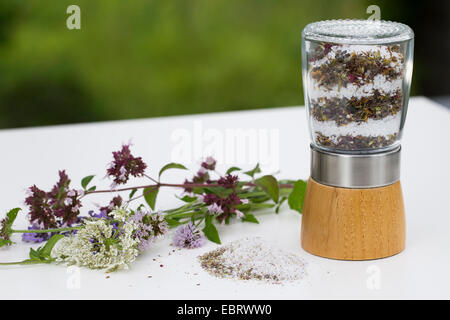 Spice grinder con il fiore di sale, sale aromatizzato con fiori commestibili Foto Stock