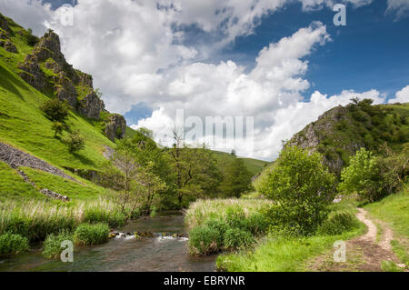 Wolfscote dale nel Peak District, derbyshire su una bella giornata d'estate. peaseland rocce salire sopra il fiume a sinistra. Foto Stock