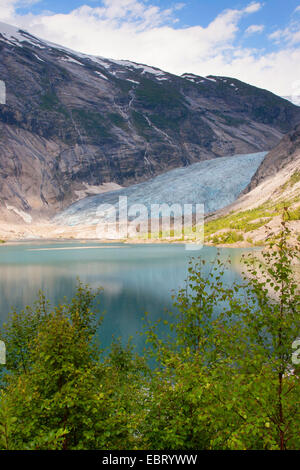 Lingua del ghiacciaio Nigardsbreen e lago glaciale Nigardsbrevatnet, Norvegia, Jostedalsbreen National Park, Jostetal Foto Stock