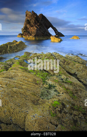 Costa rocciosa con archetto di violino arco di roccia, Regno Unito, Scozia, Portknockie Foto Stock