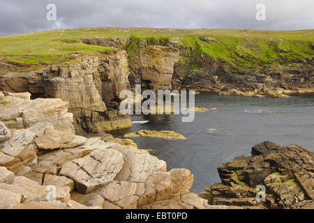 Costa rocciosa e mare Yesnaby stack, Regno Unito, Scozia, isole Orcadi, Orkney continentale Foto Stock