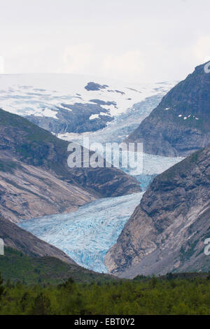 Vista del ghiacciaio Nigardsbreen braccio del ghiacciaio Jostedalsbreen, Norvegia, Jostedalsbreen Parco Nazionale Foto Stock