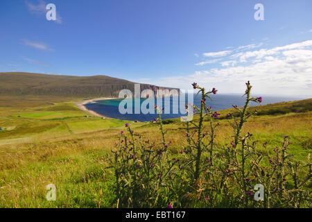 Vista di Rackwick Bay, Regno Unito, Scozia, isole Orcadi, Hoy Foto Stock