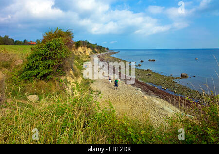 Ripida costa del Mar Baltico vicino a Boltenhagen, Germania, Meclemburgo-Pomerania, Redewisch Foto Stock