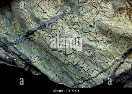 Le lave a cuscino, Barranco de Angustias, Isole Canarie La Palma de la Caldera de Taburiente Foto Stock