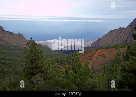 Vista da La Crucita a Valle de Guimar, Isole Canarie, Tenerife, Cumbre dorsale Foto Stock