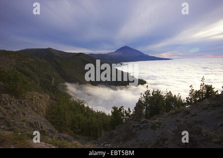 Cumbre dorsale di cresta di montagna e il vulcano Teide, valle di Otavara nelle nuvole, Isole Canarie, Tenerife, Parco Nazionale del Teide Foto Stock