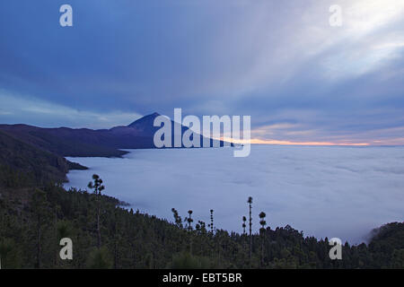 Cumbre dorsale di cresta di montagna e il vulcano Teide, valle di Otavara nelle nuvole, Isole Canarie, Tenerife, Parco Nazionale del Teide Foto Stock