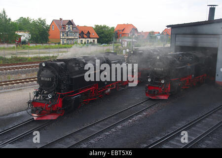 Locomotive a vapore di Harz Narrow Gauge Ferrovie , Germania, Sassonia-Anhalt, Wernigerode Foto Stock