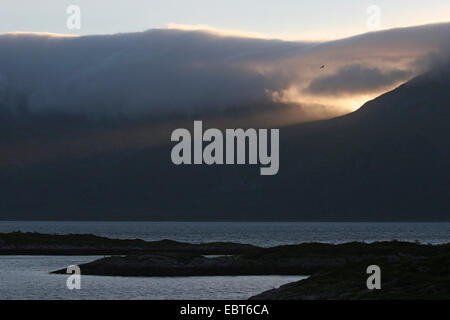 Costa nella luce della sera, Norvegia, Isole Lofoten Foto Stock