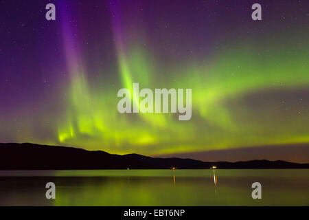 Luce polare con bandiere viola mirroring in un fiordo, Norvegia Namsos Foto Stock