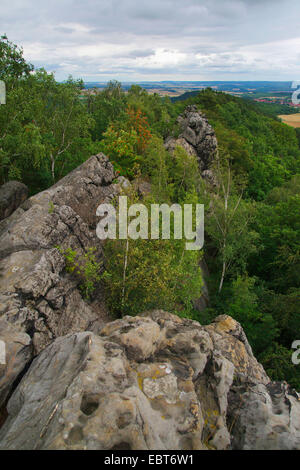 Teufelsmauer, Muri del Diavolo, formazione di roccia, Germania, Sassonia-Anhalt, Harz, Blankenburg Foto Stock