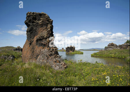 Rocce di origine vulcanica del Lago Myvatn, Islanda Foto Stock