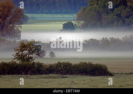 Riserva naturale Ahse Wiesen nella nebbia mattutina, in Germania, in Renania settentrionale-Vestfalia, Ahse NSG Wiesen Foto Stock