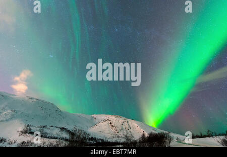 Aurora su Finnvikdalen, Norvegia, Troms, Finnvikdalen Foto Stock