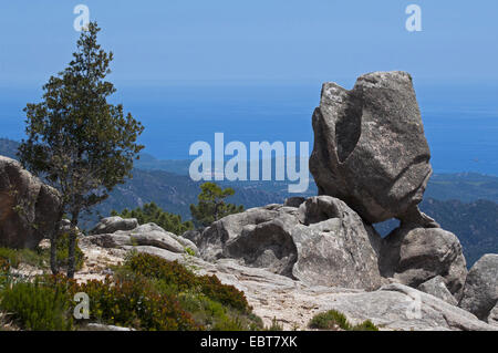 Formazione di roccia di l'Ospedale di montagna, la sentinella di roccia , Francia, Corsica, Porto-Vecchio Foto Stock