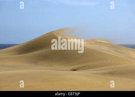 La brezza soffia la sabbia da una duna a mare isole canarie Gran Canaria, Maspalomas Foto Stock