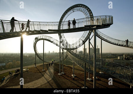 Landmark Tiger e la Tartaruga su scorte Angerpark nella luce della sera, in Germania, in Renania settentrionale-Vestfalia, la zona della Ruhr, Duisburg Foto Stock