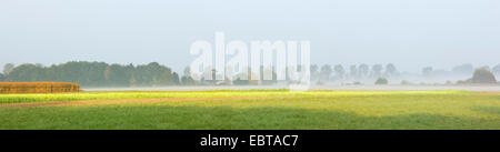 Nebbia autunnale su un campo e prato paesaggio, in Germania, in Baviera Foto Stock