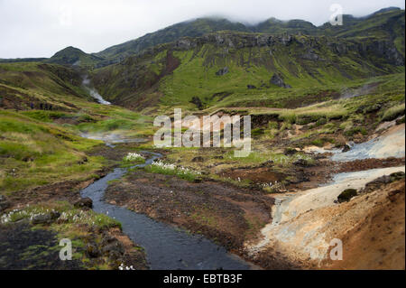 Area geotermica e mudpots, Islanda, Hengill Foto Stock