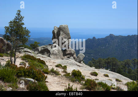 Formazione di roccia di l'Ospedale di montagna, Francia, Corsica, Porto-Vecchio Foto Stock