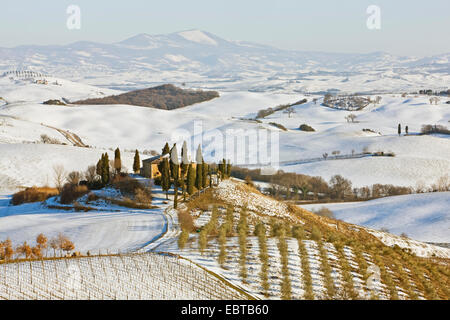 Podere Belvedere in paesaggi innevati, Italia, Toscana, San Quirico Foto Stock