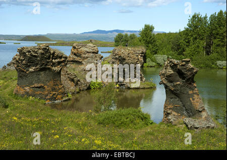 Roccia lavica formazione presso il Lago Myvatn, Islanda, Kalfastroend, Myvatn Foto Stock