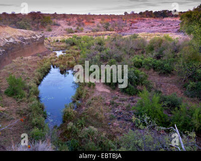 Savana nella luce del mattino, Sud Africa, Redrocks Lookout, Krueger National Park, Letaba Camp Foto Stock