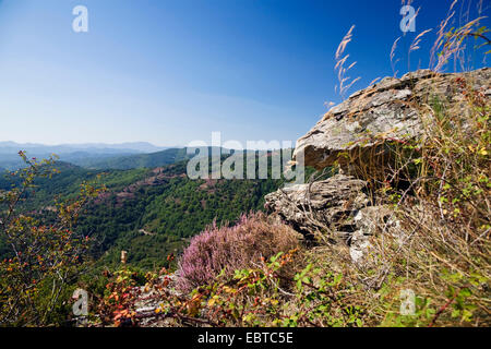 Collinare paesaggio naturale, Francia, il Parco nazionale di Cevennes Foto Stock