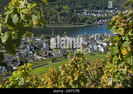 Idillica vista da un vigneto sulla città e Alken Kattenes al Mosselle, in Germania, in Renania Palatinato Foto Stock